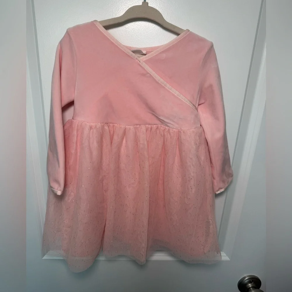 Hanna Andersson Pink Tulle & Velvet Long-Sleeve Party Dress